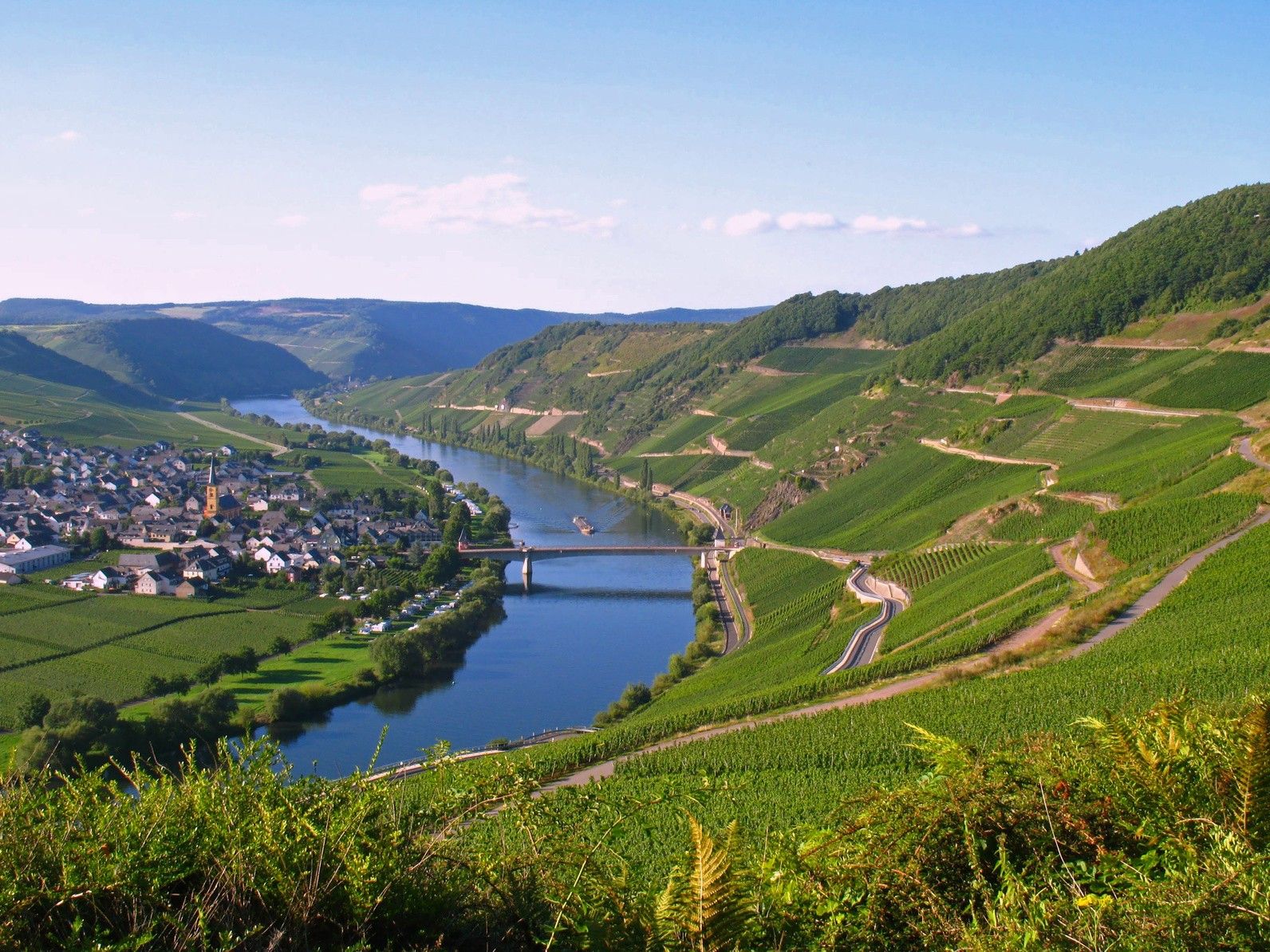 Ein Bild mit einem Blick auf die Mosel vom Dorf Leiwen auf das Dorf Trittenheim bei Sonnenschein.