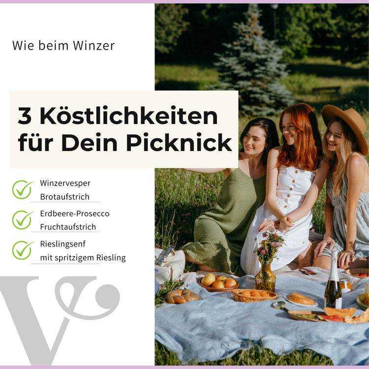 ein Bild mit 3 Frauben beim Picknick und links ein Text über 3 Feinkostartikel von Vitis24 für ein Picknick