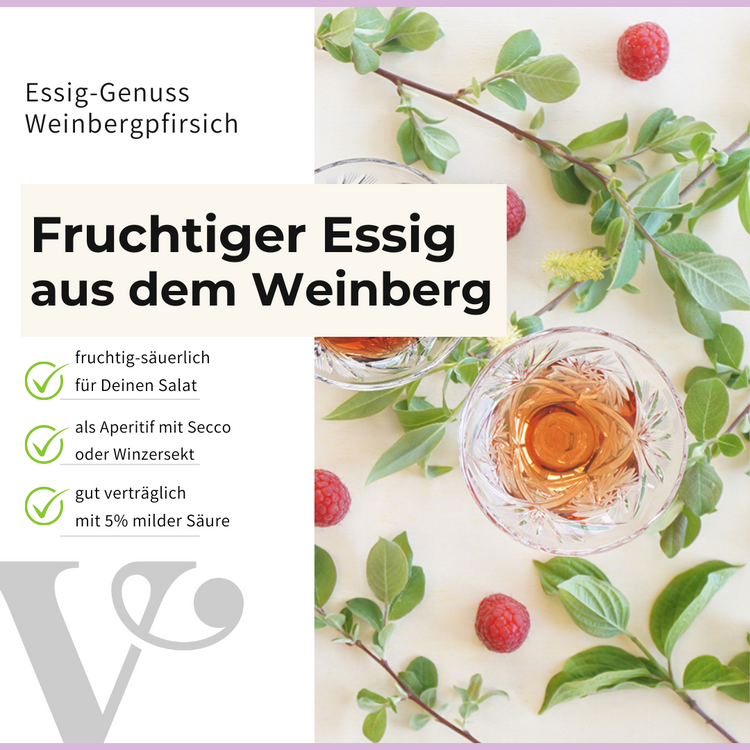 2 Gläser mit Aperitif und auf der linken Seite ein Text zum Essig Genuss Weinbergpfirsich von Vitis24 und wozu man ihn verwenden kann
