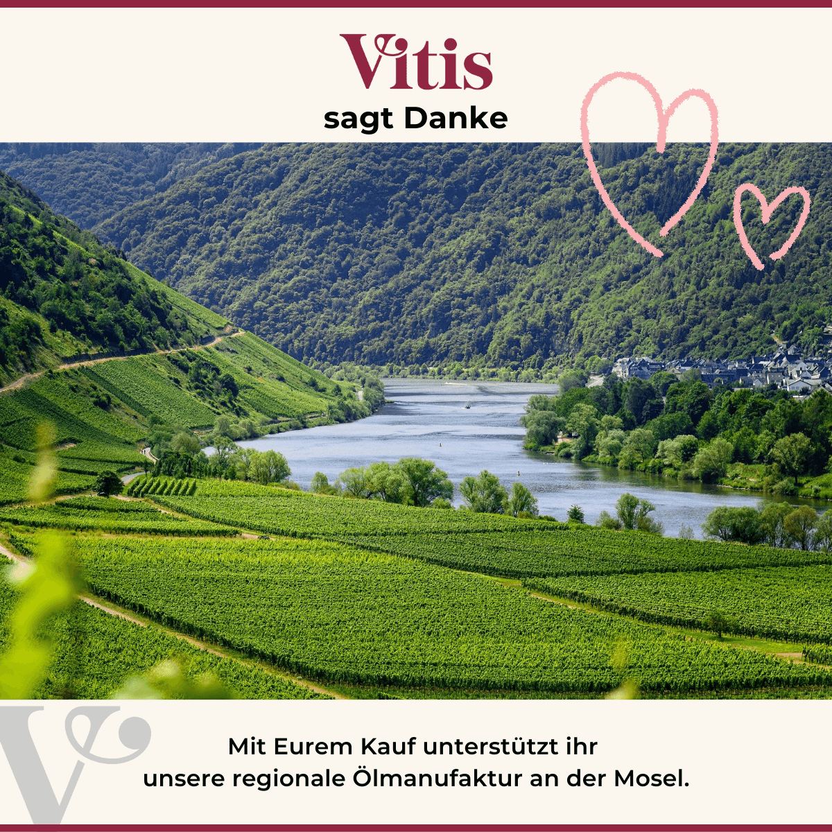 Eine Moselschleife in grünen Weinbergen im Hintergrund.